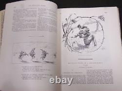 1883 St. Nicholas Monthly Magazine Lot Of 8 Issues Nice Illus. & Ads Wr 1082