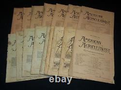 1891-1894 American Agriculturist Magazine Lot Of 16 Issues O 310