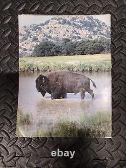 1986-1989 Animal Kingdom Magazine Lot Of 8 VTG Rare The Zoological Society Mag